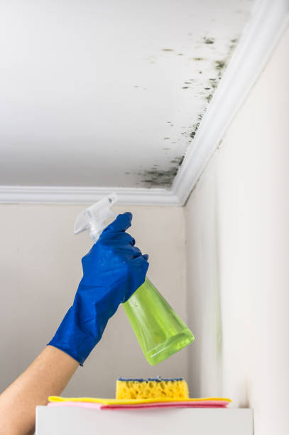 Water Damage Restoration in Emerald Lakes, PA