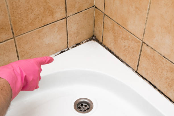 Best Black Mold Removal  in Emerald Lakes, PA